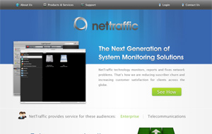 NetTraffic Website