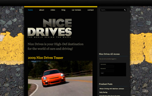 NiceDrives Website